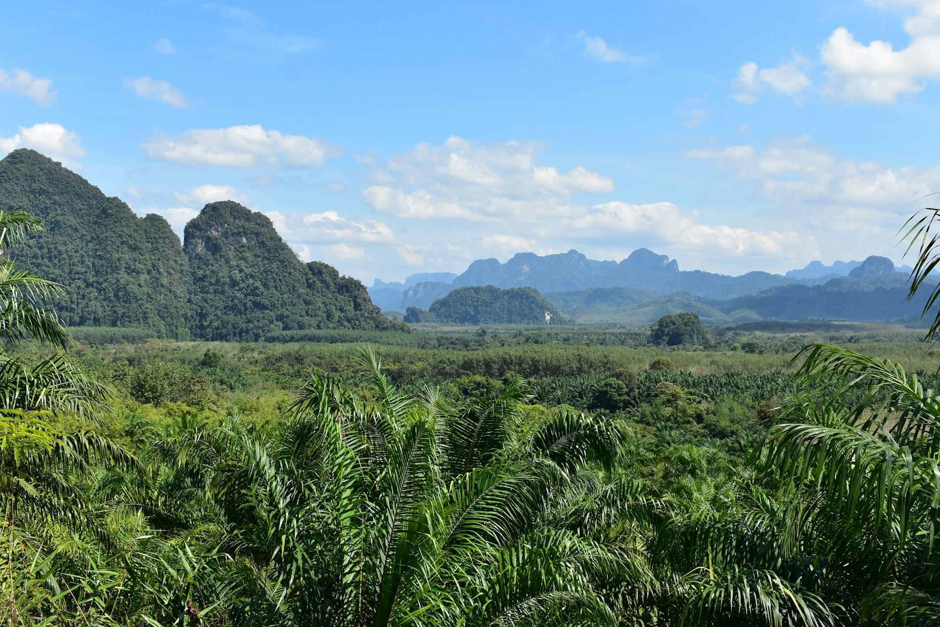 Limestone Cathedral